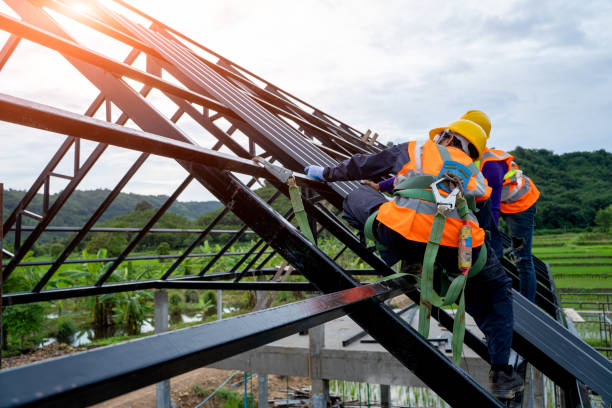 Best Local Roofing Companies  in Renton, WA
