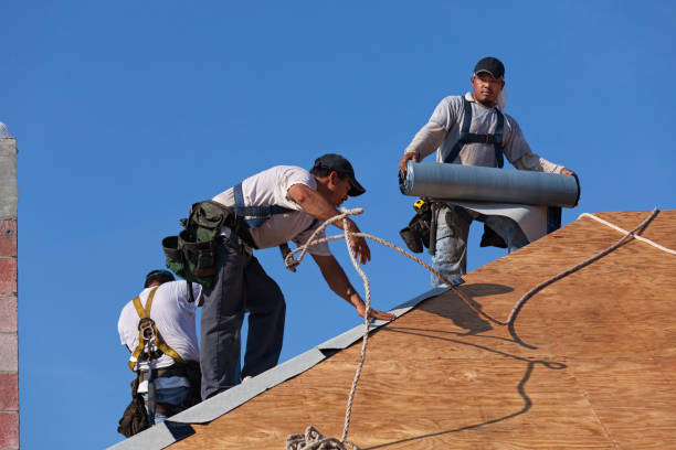 Best New Roof Installation  in Renton, WA