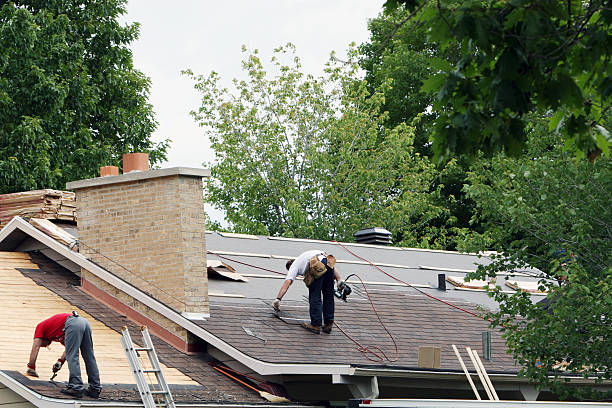 Best Roof Gutter Cleaning  in Renton, WA