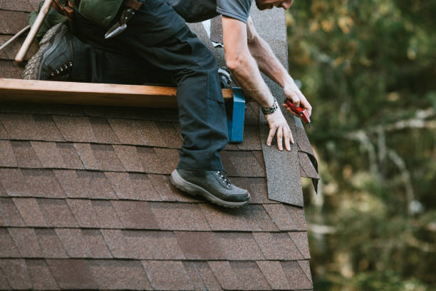 Best Roof Gutter Cleaning  in Renton, WA